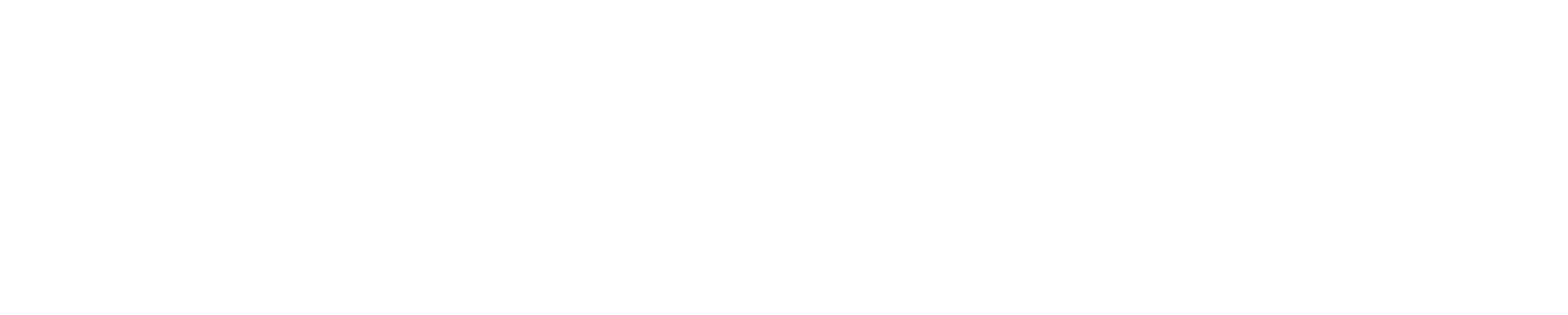 Logo Raumwerkstatt Geiss